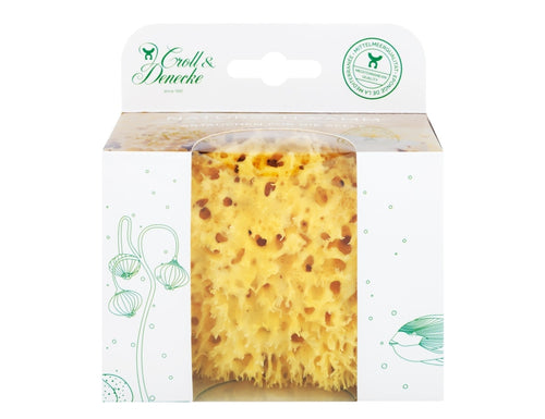 Nature Sponge in Eco gift packaging 11cm / 13cm